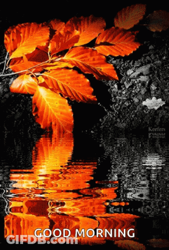 A Good Morning Greeting Card With A Tree Branch And Leaves GIF