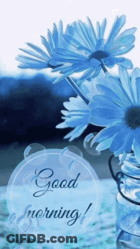 A Good Morning Greeting Card With Blue Daisies In A Jar . GIF
