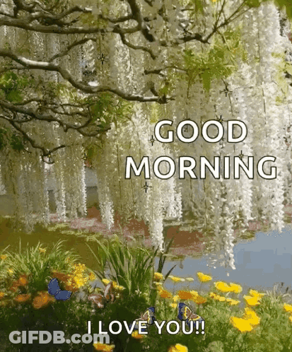 A Good Morning Greeting Card With Flowers And Butterflies And The Words `` I Love You '' . GIF