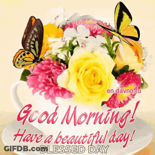 A Good Morning Greeting Card With Flowers And Butterflies In A Cup GIF