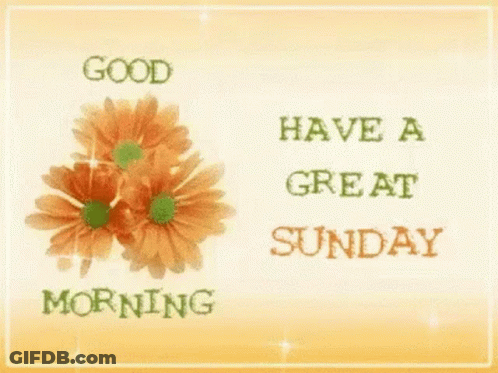 A Good Morning Greeting Card With Flowers And The Words `` Have A Great Sunday '' . GIF