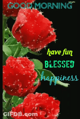 A Good Morning Greeting Card With Red Roses And The Words Have Fun Blessed Happiness GIF