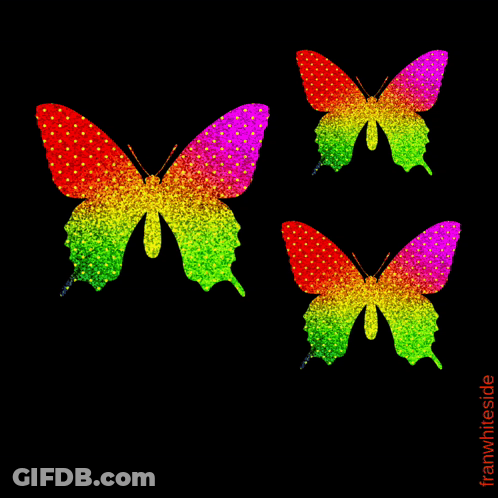 A Good Morning Greeting Card With Three Colorful Butterflies On A Black Background GIF