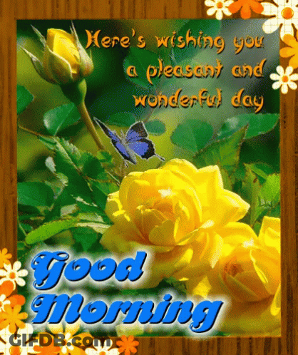 A Good Morning Greeting Card With Yellow Roses And A Blue Butterfly GIF