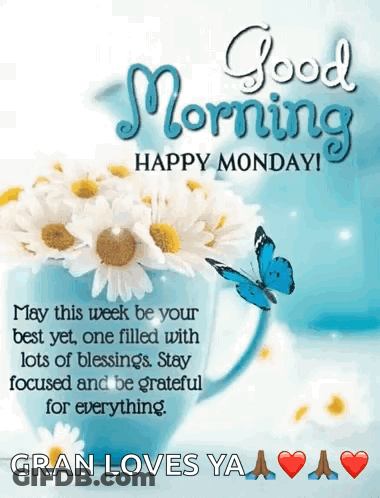 A Good Morning Happy Monday Greeting Card With Flowers And Butterflies GIF