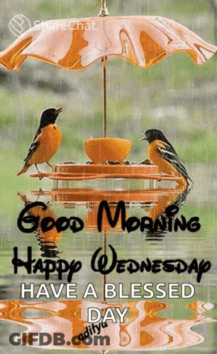 A Good Morning Happy Wednesday Have A Blessed Day Card GIF