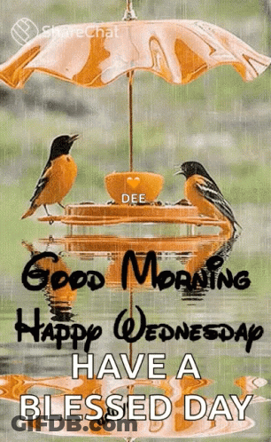 A Good Morning Happy Wednesday Have A Blessed Day GIF