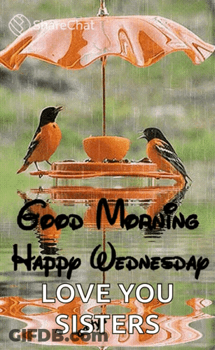 A Good Morning Happy Wednesday Love You Sisters Card GIF