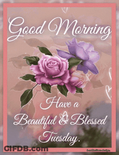 A Good Morning Have A Beautiful Blessed Tuesday Card GIF