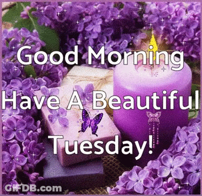 A Good Morning Have A Beautiful Tuesday Greeting Card With Purple Flowers And Candles GIF