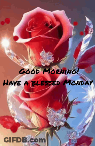 A Good Morning Have A Blessed Monday Greeting With Red Roses GIF