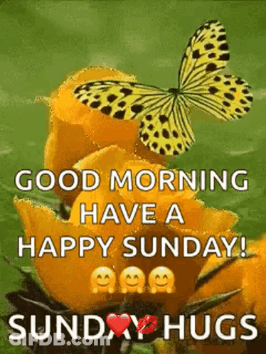 A Good Morning Have A Happy Sunday ! Sunday Hugs GIF
