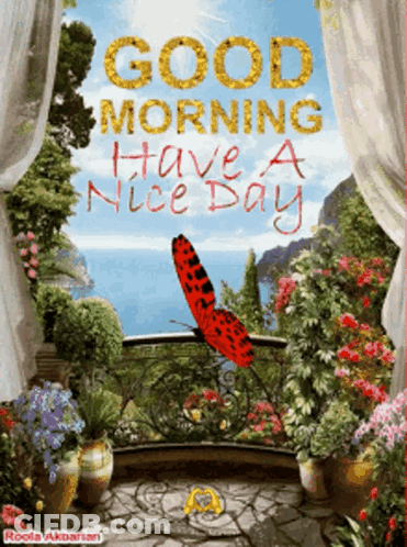 A Good Morning Have A Nice Day Greeting Card With A Butterfly On A Balcony GIF