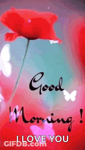A Good Morning I Love You Greeting Card With A Red Flower And Butterflies . GIF