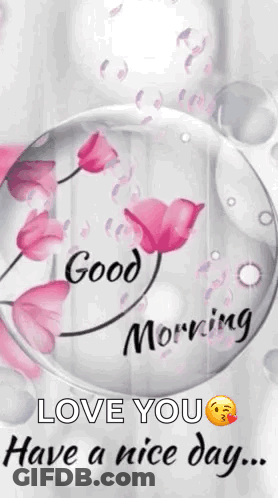 A Good Morning Love You Have A Nice Day Message With Pink Flowers In A Bubble . GIF