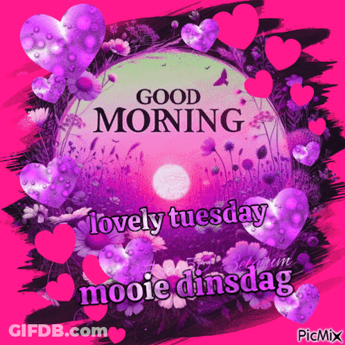 A Good Morning Lovely Tuesday Mooie Dinsdag Greeting Card GIF
