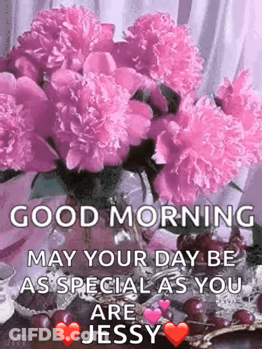 A Good Morning May Your Day Be As Special As You Are Jessy GIF