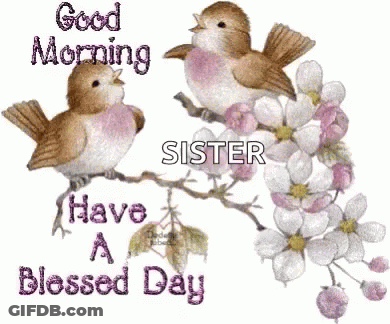 A Good Morning Message To A Sister With Two Birds On A Branch GIF