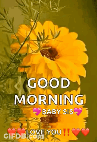 A Good Morning Message With A Yellow Flower And The Words `` Good Morning Baby Sis Love You '' . GIF