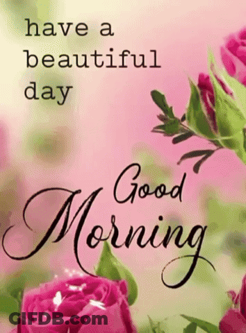 A Good Morning Message With Pink Roses On A Pink Background GIF