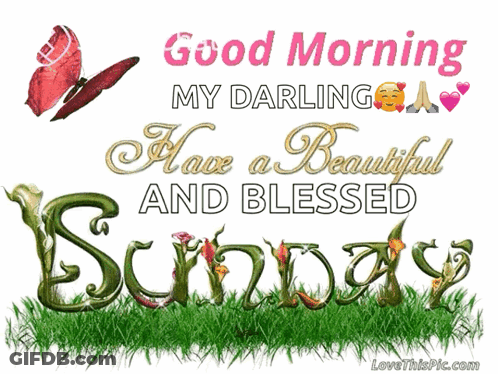A Good Morning My Darling Have A Beautiful And Blessed Sunday Picture GIF