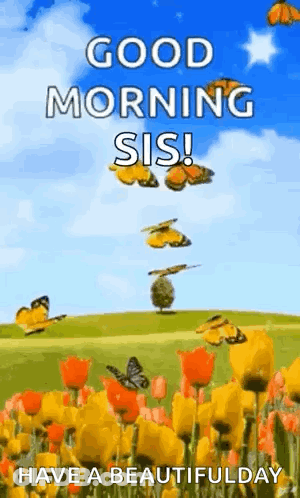 A Good Morning Sis Greeting Card With Butterflies Flying Over A Field Of Flowers GIF