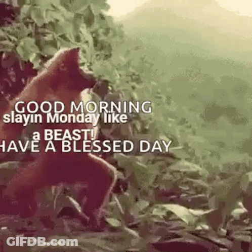 A Good Morning Slayin Monday Like A Beast ! Have A Blessed Day ! GIF