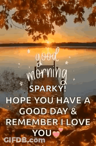 A Good Morning Sparkly ! Hope You Have A Good Day & Remember I Love You . GIF