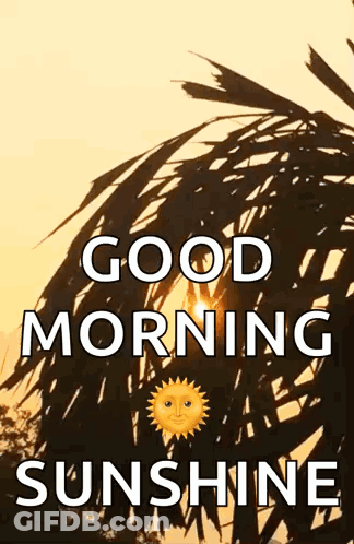 A Good Morning Sunshine Greeting Card With A Sun And A Palm Tree GIF