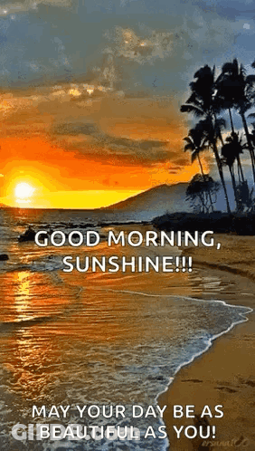A Good Morning , Sunshine !! May Your Day Be As Beautiful As You . GIF