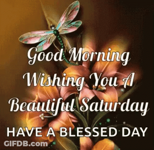 A Good Morning Wishing You A Beautiful Saturday Have A Blessed Day With A Dragonfly On A Flower . GIF
