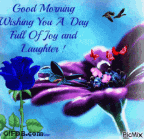 A Good Morning Wishing You A Day Full Of Joy And Laughter . GIF