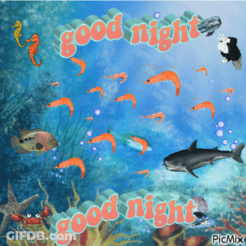 A Good Night Greeting Card With A Shark And Shrimp GIF