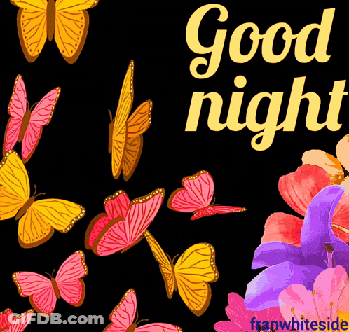 A Good Night Greeting Card With Butterflies And Flowers On A Black Background GIF