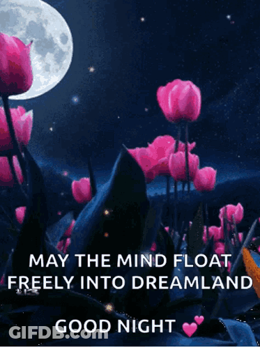 A Good Night Message With Flowers And A Full Moon GIF