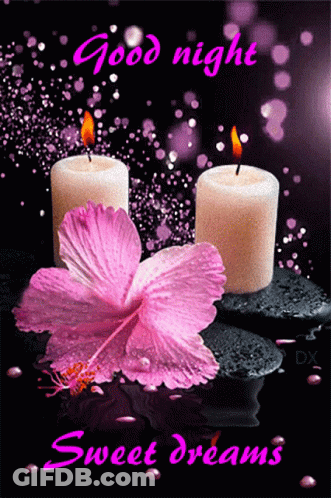 A Good Night Sweet Dreams Greeting Card With Candles And Flowers GIF