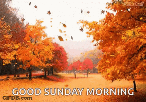 A Good Sunday Morning Greeting Card With Autumn Leaves Falling From The Trees In A Park . GIF