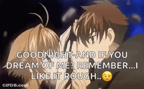 A Goodnight And If You Dream Of Me ? Remember ... I Like It Rough ... GIF