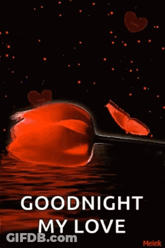 A Goodnight My Love Greeting Card With A Red Flower And Hearts GIF