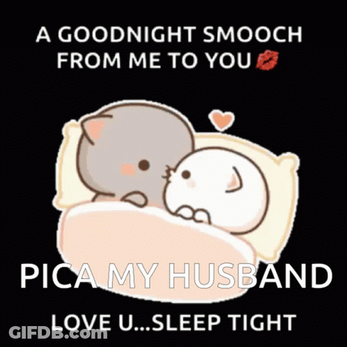 A Goodnight Smooch From Me To You Pica My Husband Love U Sleep Tight GIF