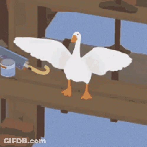 A Goose Is Standing On A Wooden Bridge With Its Wings Outstretched . GIF