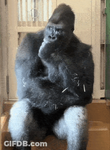 A Gorilla Is Sitting On A Wooden Block With His Hands On His Chin GIF
