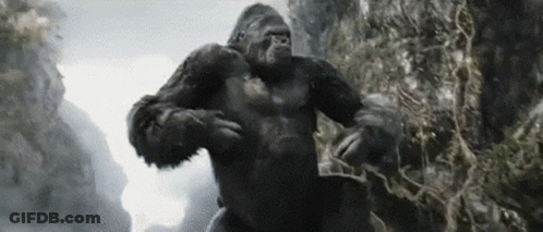 A Gorilla Is Standing On Top Of A Rocky Hillside . GIF