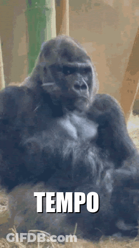 A Gorilla Sits In The Grass With The Word Tempo Written Below It GIF