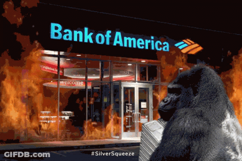 A Gorilla Standing In Front Of A Bank Of America Building GIF