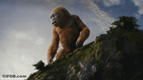 A Gorilla Standing On Top Of A Hill With #Godzillaxkong On The Bottom GIF