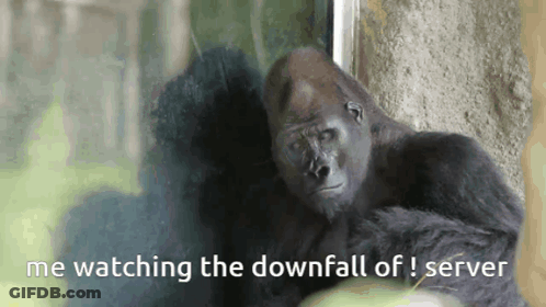 A Gorilla With The Words Me Watching The Downfall Of Server Above It GIF