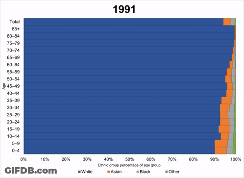 A Graph Showing The Percentage Of People By Ethnic Group GIF