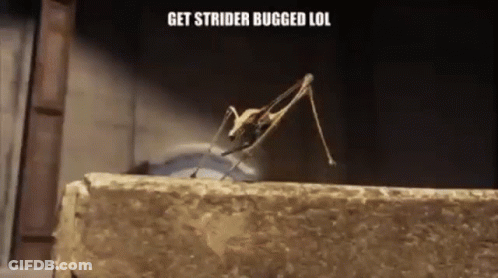 A Grasshopper Is Walking Across A Stone Wall With The Words `` Get Strider Bugged Lol '' Written Above It . GIF