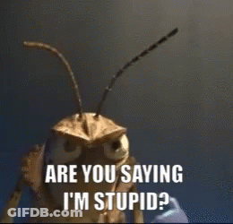 A Grasshopper Says Do I Look Stupid To You While Looking At The Camera GIF